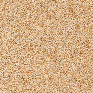 Organic White Poppy seeds