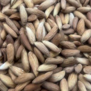 Badam Mamra